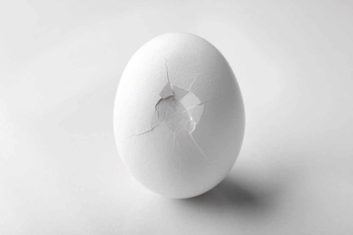 Foto promocional de l’obra Big Fake. Sobre un fons blanc un ou blanc amb la càscara fracturada.