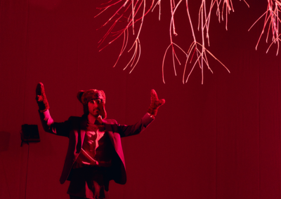 Goodbye Europa Lost Words - TANTARANTANA - Temporada 25 - 26 (9)