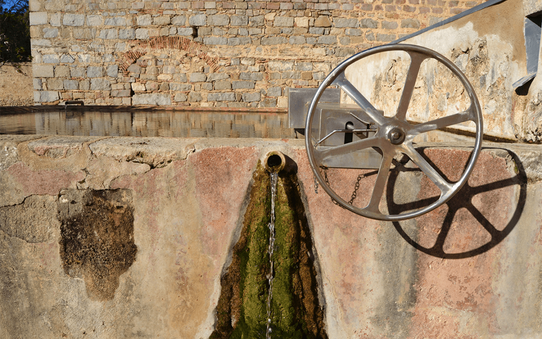 LA VEU DE L’AIGUA. UN MURMURI PLE DE VIDA